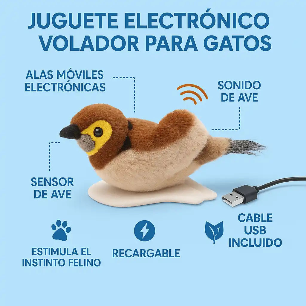 Encabezado